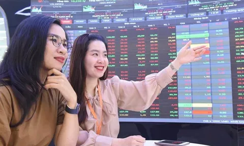 Phát triển quỹ đầu tư để thị trường chuyên nghiệp và bền vững hơn