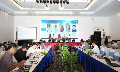 Rơm rạ: 'Mỏ sinh khối' mới của vùng Mekong