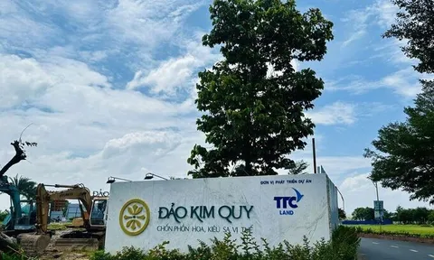 Chuyển hồ sơ sang cơ quan điều tra nếu phát hiện sai phạm tại dự án Đảo Kim Quy