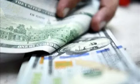 Tỷ giá ngoại tệ, tỷ giá USD/VND hôm nay 9/12: Đồng USD quay đầu tăng do kỳ vọng Fed nới lỏng chính sách tiền tệ