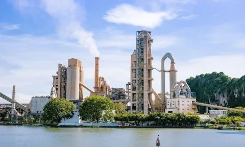 Khai sai thuế, doanh nghiệp xi măng trên sàn HOSE bị truy thu và xử phạt hơn 2,6 tỷ đồng