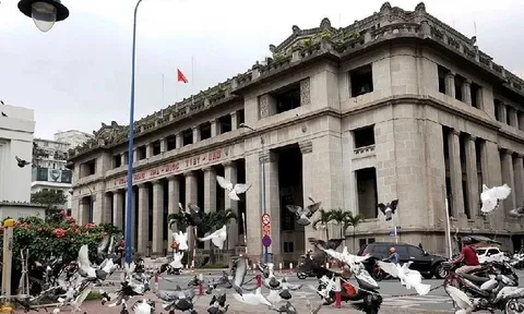 Nhiều kết quả nổi bật trong hoạt động ngân hàng tại TP. Hồ Chí Minh và Đồng Nai năm 2025