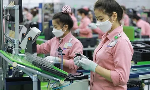 Doanh nghiệp cấp tập lo thưởng Tết 2026: Có nơi chi tới 100 triệu đồng/người