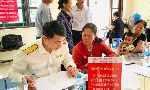 Cơ quan thuế hướng dẫn kê khai thuế với hộ kinh doanh doanh thu trên 500 triệu đồng/năm