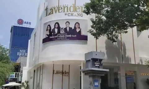 Loạt Thẩm mỹ Korean Star - Sao Hàn, Lavender Sài Gòn, Hedy nợ thuế