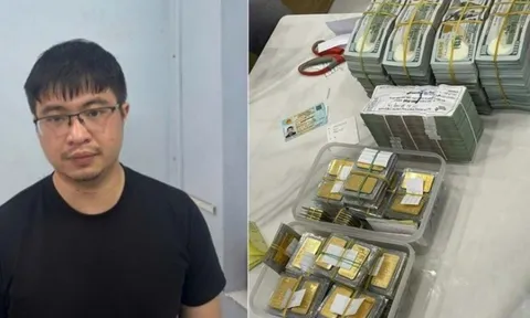 Vụ án Mr Pips: Thu giữ khối tài sản khổng lồ tại nhà bạn gái Phó Đức Nam