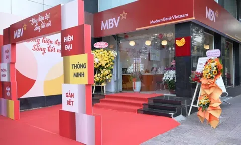 MBV Bình Dương để xảy ra sai sót, vi phạm