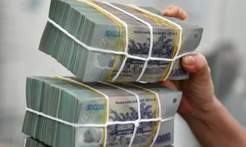 Kiểm toán chỉ tên ngân hàng lớn ôm đất rồi bỏ hoang