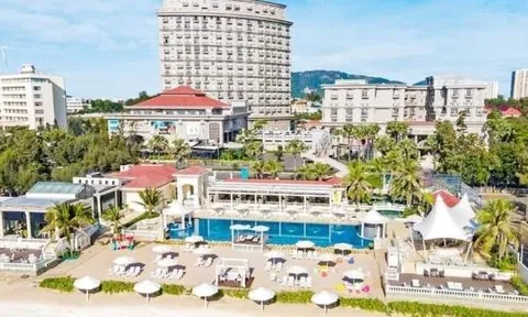 Vì sao chủ đầu tư The Imperial Vũng Tàu chậm đóng bảo hiểm hàng tỷ đồng?