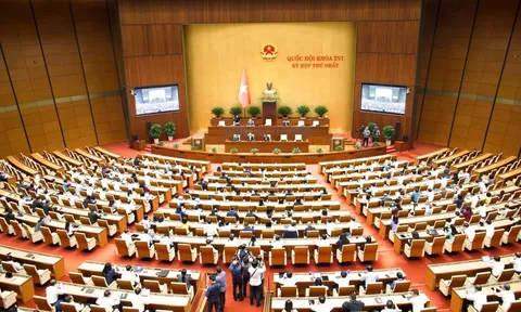 Từ chính sách thuế xăng dầu đến tư duy quản trị mới