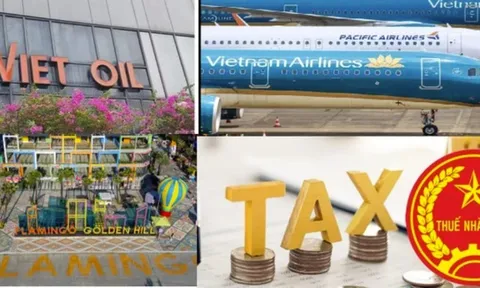 Xuyên Việt Oil, Golden Hill, Pacific Airlines bị công khai nợ thuế hàng trăm tỷ đồng