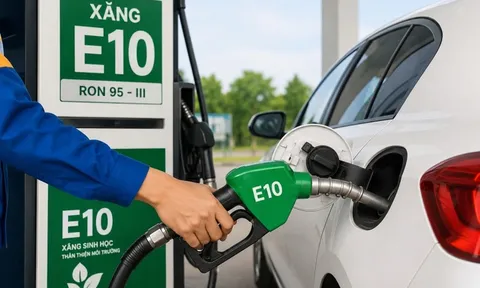 Hiệp hội ô tô, xe máy nói gì về xăng E10?