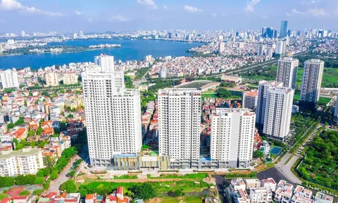 TP. HCM công khai 4.642 doanh nghiệp nợ thuế