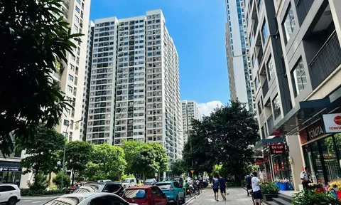 Nhà ở khởi đầu: Lối mở cho người trẻ giữa áp lực giá nhà