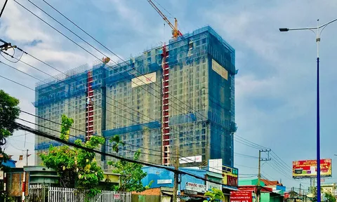 Tranh chấp giữa các thành viên Công ty Naviland