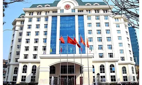 Làm sạch mã số thuế, gỡ nút thắt cho môi trường kinh doanh
