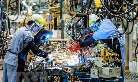 Niềm tin doanh nghiệp châu Âu vào Việt Nam tăng mạnh