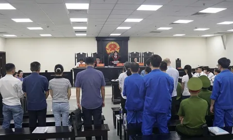 Xét xử loạt bị cáo trong vụ án sản xuất thực phẩm chức năng giả đặc biệt lớn tại Công ty MediPhar