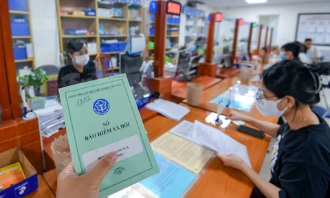 Từ 1/7/2029: Tất cả chủ hộ kinh doanh bắt buộc tham gia bảo hiểm xã hội