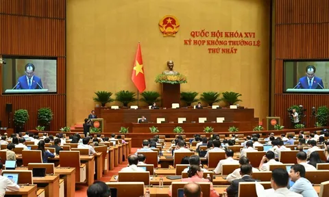 Cắt giảm, đơn giản hóa thủ tục hành chính, điều kiện kinh doanh trong lĩnh vực nông nghiệp và môi trường