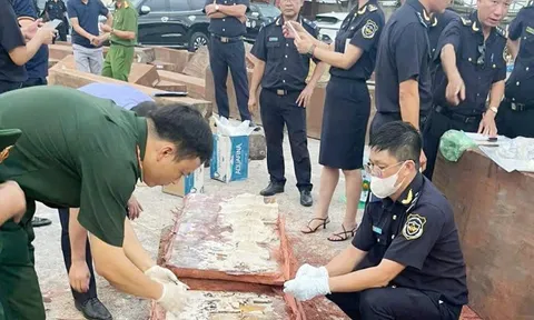 Hải quan bàn giao cho Công an vụ phát hiện 1,2 tấn ngà voi từ châu Phi
