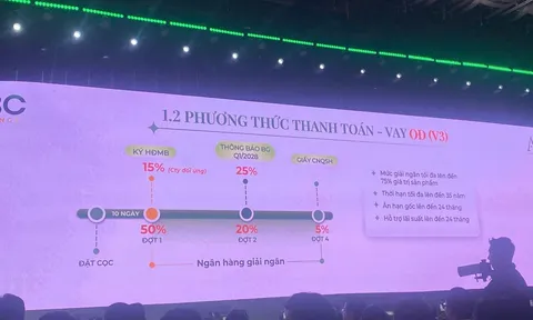 Cảnh giác “mua nhà 0 đồng” tại dự án A&K Tower, khuyến nghị với người cao tuổi