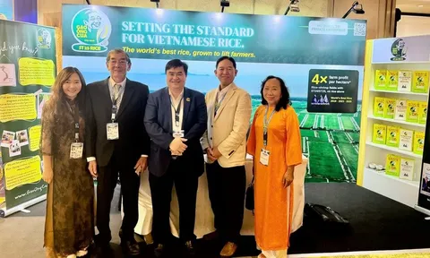 Gạo ST25 của Việt Nam giành giải Nhì "Gạo ngon nhất thế giới 2026"