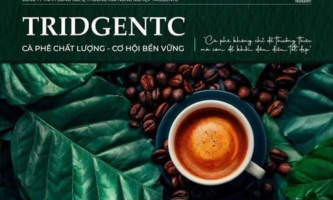 TridgeNTC: Hiện thực hóa giấc mơ "Cà phê công nghệ" và lộ trình IPO năm 2030