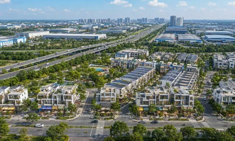Đầu tư thông minh trong chu kỳ tiền khó: Tài sản nào thực sự tạo ra dòng tiền?
