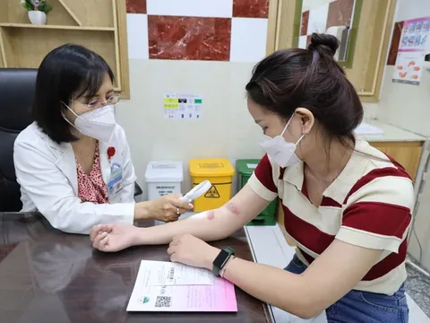 Mùa mưa, cẩn trọng với kiến ba khoang