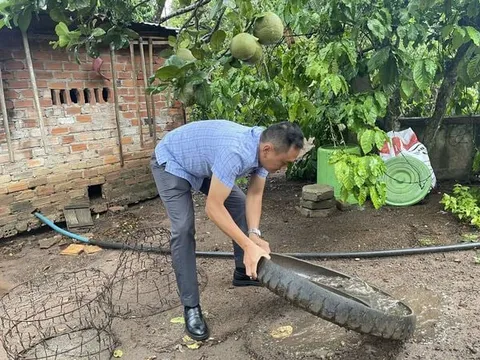 Ghi nhận trường hợp thứ 2 mắc bệnh viêm não Nhật Bản tại Đắk Lắk