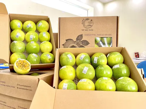 Đàm phán xuất khẩu trái chanh leo Việt Nam sang Hoa Kỳ