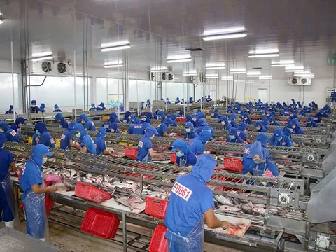 Dự kiến xuất khẩu năm 2025 sẽ tăng trưởng 12%