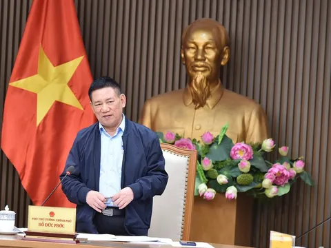 Phó Thủ tướng Hồ Đức Phớc chủ trì cuộc họp tái cơ cấu Ngân hàng phát triển Việt Nam