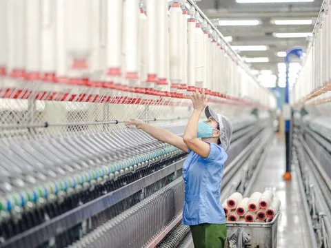 Xuất nhập khẩu năm 2024 'cán mốc' 786 tỷ USD