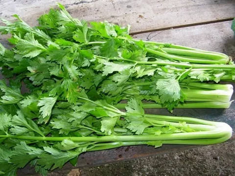 Loại rau được ví như 'thần dược' ở Việt Nam: Giá 1 kg bằng một bát phở, lợi ích tuyệt vời không phải ai cũng biết