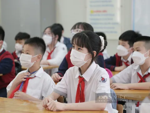 Thông tư 29 quy định dạy thêm, học thêm: "Người ép học sinh đi học thêm chính là cha mẹ"