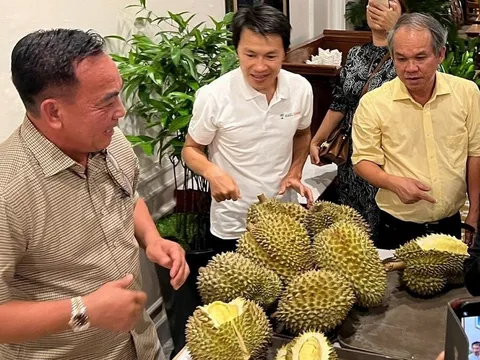 Doanh nghiệp bầu Đức “rơi” hơn 80% lợi nhuận do đâu?