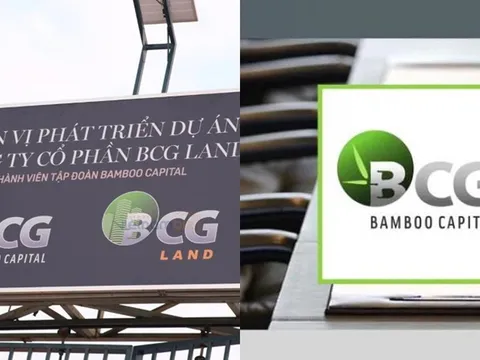 Nhóm cổ phiếu Bamboo Capital lao dốc trong tuần qua