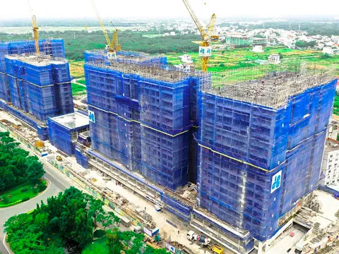 Tập đoàn Xây dựng Hòa Bình "biến động" nhân sự cấp cao trước thêm Đại hội cổ đông