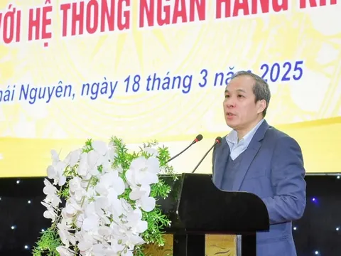 Ngân hàng nhà nước muốn nâng mức cho vay không tài sản đảm bảo lên 300 triệu đồng