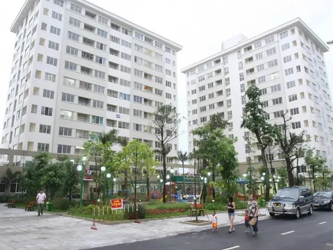 Bán rau ngoài chợ xác nhận thu nhập mua nhà ở xã hội thế nào?