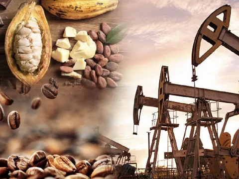 Thị trường năng lượng ‘ngập’ sắc xanh, giá cà phê dần xa mốc kỷ lục