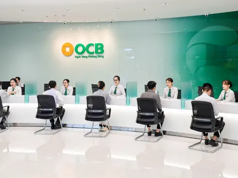 Tồn tại sai phạm tại nhiều chi nhánh Ngân hàng OCB