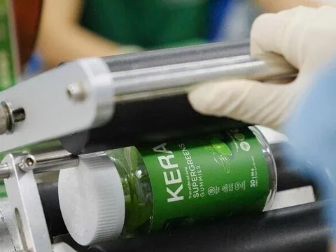 Công ty kẹo rau củ Kera bị đề nghị xử phạt 224 triệu đồng