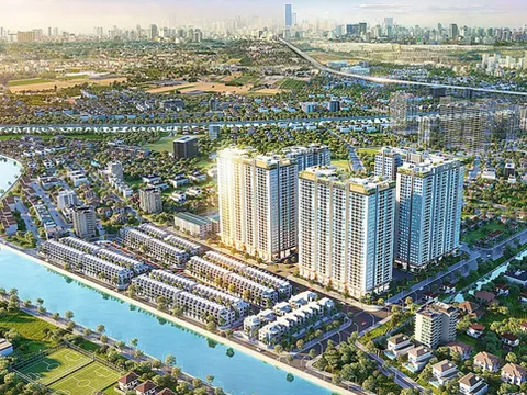 Hệ sinh thái NVT Group của ông Nguyễn Văn Thiệu có gì khi liên tục mang tài sản đi thế chấp khắp nơi