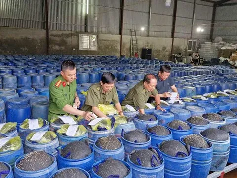 Nghệ An: Triệt phá đường dây 3.500 tấn giá đỗ tẩm hóa chất độc hại
