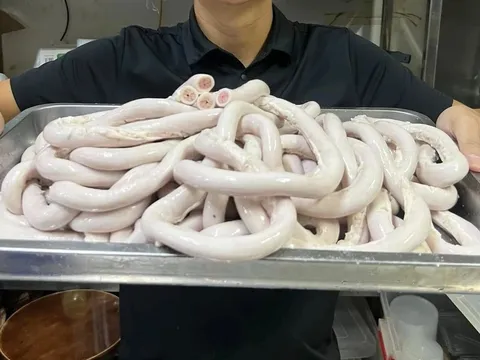 Điều gì xảy ra khi ăn lòng heo ngâm hóa chất?