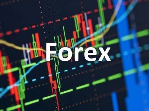 Ngân hàng Nhà nước: Không cấp phép cho bất kỳ sàn Forex nào tại Việt Nam