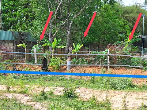 Bình Dương: Doanh nghiệp “than trời” khi mua nhầm khu đất… vướng đủ thứ!